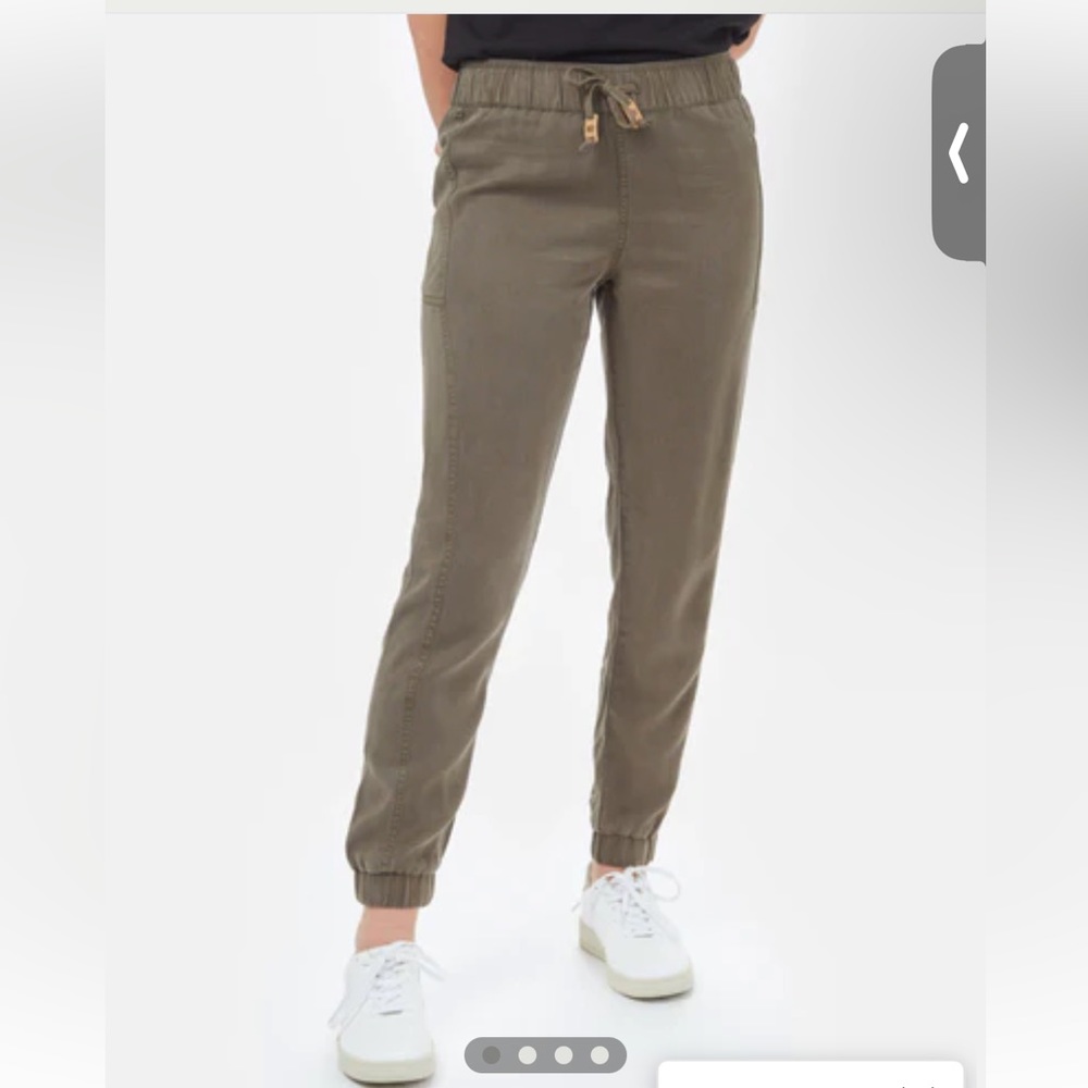 NWT Tentree Jogger Pants
